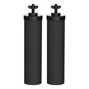 Waterdrop NSF/ANSI 372 Certified Water Filter, Replacement for BB9-2 Black Purification Elements, Doulton Super Sterasyl and Traveler, Nomad, King, Big Series (2 Pack)