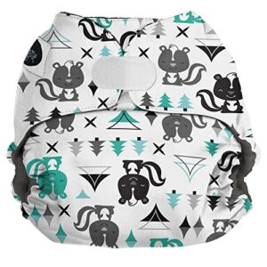 Imagine Baby Products Pocket Hook and Loop Diaper, Lil Stinker