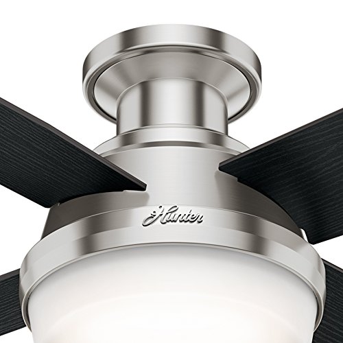 Hunter Fan 44′ Contemporary Low Profile Ceiling Fan in Brushed Nickel with LED Light Kit and Remote Control (Renewed) | The Storepaperoomates Retail Market - Fast Affordable Shopping