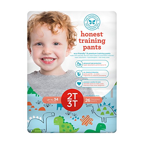 The Honest Company Disposable Training Pants, Dinosaurs, 2T/3T, 26 ct | The Storepaperoomates Retail Market - Fast Affordable Shopping