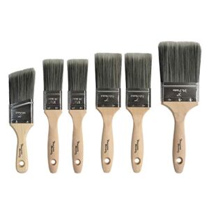 Professional Paint Brush Set 6 Piece Precision Defined Heavy-Duty, Paint Brushes for Walls with SRT PET Bristles and Natural Birch Handles, Paintbrushes with Comfortable Grip