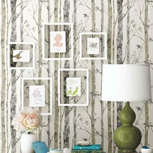 RoomMates RMK9047WP White Birch Trees Peel and Stick Wallpaper