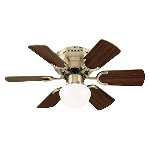 Westinghouse Lighting 7215800 Petite Indoor Ceiling Fan with Light, 30 Inch, Antique Brass | The Storepaperoomates Retail Market - Fast Affordable Shopping