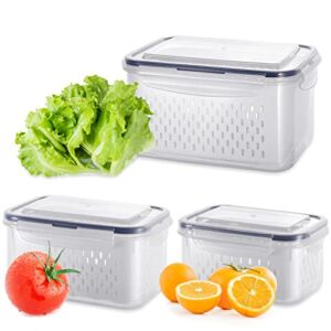 G · PEH Fruit Storage Containers for Fridge Fresh Container with Filterable Basket & Airtight Lid Vegetable and Fruit Saver Containers Refrigerator Organizer for Fruit Salad Lettuce Berry Meat