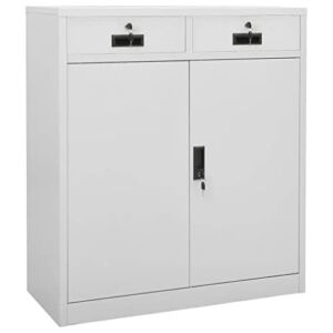 Metal File Cabinets, Freestanding Metal Locker Accent Cabinet Office Cabinet with 2 Drawers and Adjustable Shelves for Home Office, Kitchen Floor Sideboard, Grey
