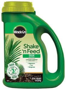 Miracle-Gro 3002910 Shake ‘N Feed Continuous Release Palm Plant Food