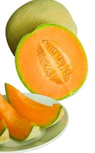 Burpee Hale’s Best Jumbo Cantaloupe Melon Seeds 200 seeds