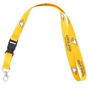 Desert Cactus Ashland University Lanyard Eagles Car Keys ID Badge Holder Keychain Detachable Breakaway Snap Buckle (Yellow)