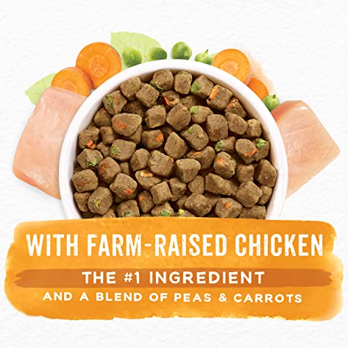 Purina Beneful Dry Dog Food, Simple Goodness With Farm Raised Chicken – 32 ct. Box | The Storepaperoomates Retail Market - Fast Affordable Shopping