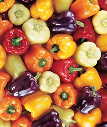 Burpee Carnival Mix Sweet Pepper Seeds 100 seeds | The Storepaperoomates Retail Market - Fast Affordable Shopping