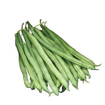 Burpee Big Kahuna Bush Bean Seeds 2 ounces of seed | The Storepaperoomates Retail Market - Fast Affordable Shopping