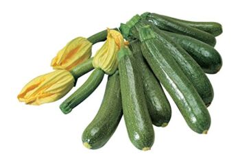 Burpee Fordhook Zucchini Organic Summer Squash Seeds 50 seeds | The Storepaperoomates Retail Market - Fast Affordable Shopping