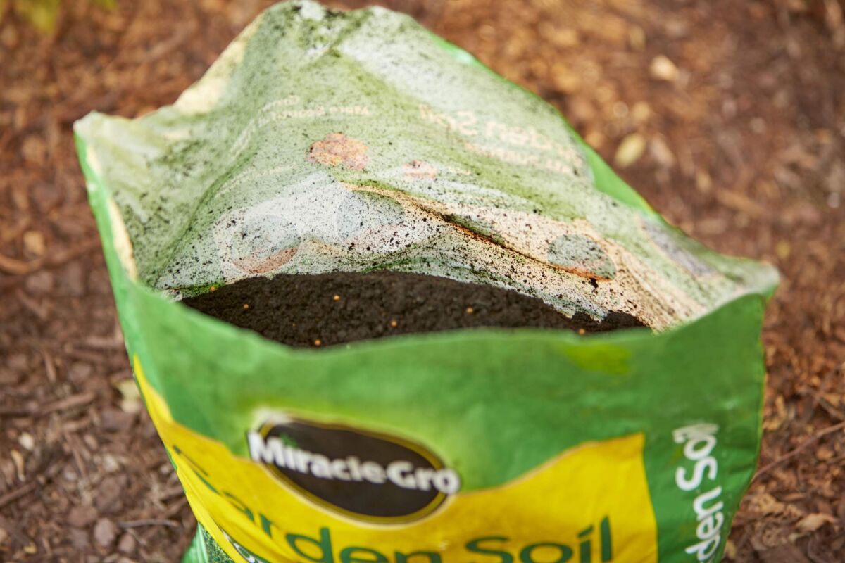 Miracle-Gro Garden Soil All Purpose: 2 cu. ft, for In-Ground Use, Feeds for 3 Months, Amends Vegetable, Flower and Plant Beds | The Storepaperoomates Retail Market - Fast Affordable Shopping
