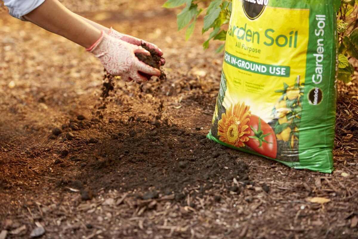 Miracle-Gro Garden Soil All Purpose: 2 cu. ft, for In-Ground Use, Feeds for 3 Months, Amends Vegetable, Flower and Plant Beds | The Storepaperoomates Retail Market - Fast Affordable Shopping