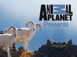 Animal Planet Presents Season 1