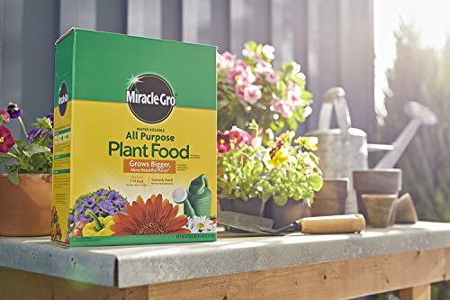 Miracle-Gro Water Soluble All Purpose Plant Food, 4-pack | The Storepaperoomates Retail Market - Fast Affordable Shopping