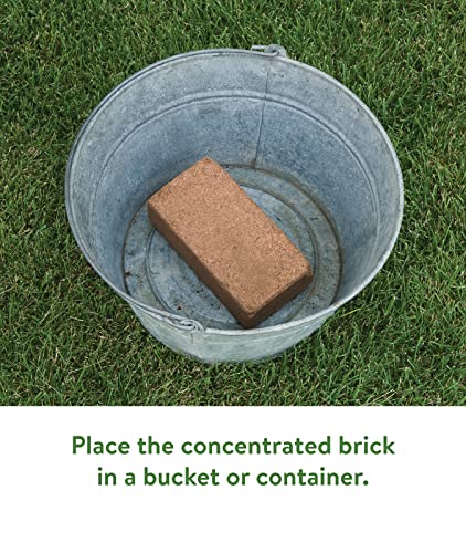 Burpee 8 qt Organic Coir Compressed Seed Starting Mix 1-Brick | The Storepaperoomates Retail Market - Fast Affordable Shopping