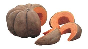 Burpee Musquee de Provence Pumpkin Seeds 10 seeds | The Storepaperoomates Retail Market - Fast Affordable Shopping
