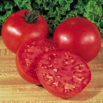 Burpee Big Boy Tomato Seeds 125 seeds | The Storepaperoomates Retail Market - Fast Affordable Shopping