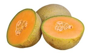 Burpee Olympic Express Cantaloupe Melon Seeds 30 seeds