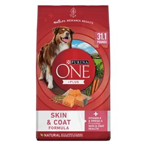 Purina ONE Natural, Sensitive Stomach Dry Dog Food, SmartBlend Sensitive Systems Formula – 31.1 lb. Bag – Packaging May Vary