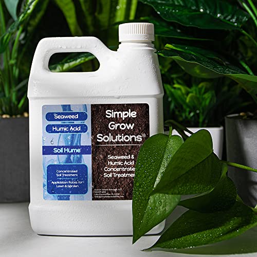 Super Seaweed Humic Acid Blend- Liquid Sea Kelp for Grass and Plants – Soil Hume – Simple Grow Solutions- Natural Lawn & Garden Concentrated Treatment- Use with Fertilizer Program (32 Ounce) | The Storepaperoomates Retail Market - Fast Affordable Shopping