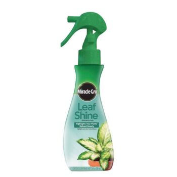 Miracle-Gro 100540 Leaf Shine Ready-to-Use Spray, 12-Ounce (Older Model) | The Storepaperoomates Retail Market - Fast Affordable Shopping