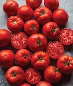 Burpee Big Boy’ Hybrid Large Slicing Red Tomato Rich Flavor, 50 seeds