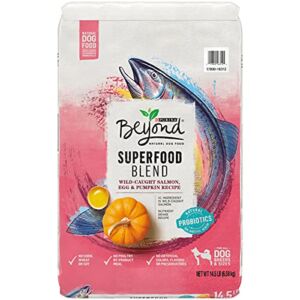 Purina Beyond Natural Dry Dog Food, Superfood Blend Salmon, Egg & Pumpkin Recipe – 14.5 lb. Bag