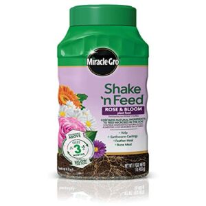 Miracle-Gro Shake ‘n Feed Rose and Bloom Plant Food – Promotes More Blooms and Spectacular Colors (vs. Unfed Plants), Feeds Roses and Flowering Plants for up to 3 Months, 1 lb.