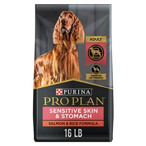 Purina Pro Plan Sensitive Skin and Stomach Dog Food With Probiotics for Dogs, Salmon & Rice Formula – 16 lb. Bag