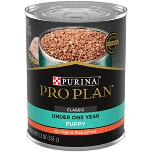 Purina Pro Plan Pate Wet Puppy Food, FOCUS Chicken & Rice Entree – (12) 13 oz. Cans (Packaging May Vary)