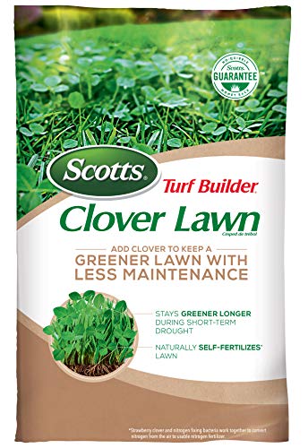 Scotts Turf Builder Clover Lawn Seed for a Greener Lawn with Less Maintenance that Naturally Self-Fertilizes, 2lbs. | The Storepaperoomates Retail Market - Fast Affordable Shopping