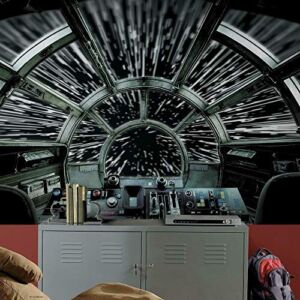 RoomMates RMK11458M Star Wars Millennium Falcon Peel and Stick Wall Mural – 10.5 ft. x 6 ft.