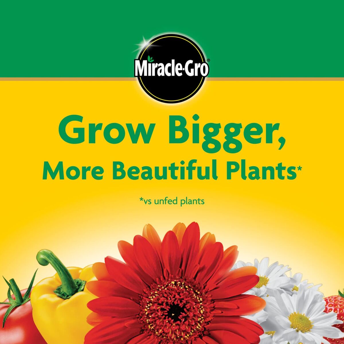 Miracle-Gro Water Soluble All Purpose Plant Food | The Storepaperoomates Retail Market - Fast Affordable Shopping
