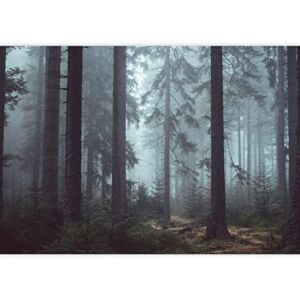 SIGNWIN Wall Mural Landscape of Forest Removable Self-Adhesive Wallpaper Wall Decoration for Bedroom Living Room – 100×144 inches