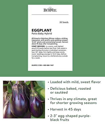Burpee Patio Baby Eggplant Seeds 30 seeds | The Storepaperoomates Retail Market - Fast Affordable Shopping