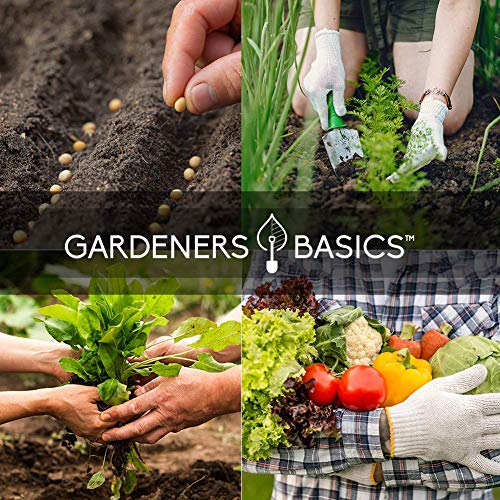 Survival Vegetable Seeds Garden Kit Over 16,000 Seeds Non-GMO and Heirloom, Great for Emergency Bugout Survival Gear 35 Varieties Seeds for Planting Vegetables 35 Free Plant Markers Gardeners Basics | The Storepaperoomates Retail Market - Fast Affordable Shopping