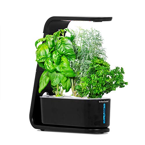 AeroGarden Sprout with Gourmet Herbs Seed Pod Kit – Hydroponic Indoor Garden, Black | The Storepaperoomates Retail Market - Fast Affordable Shopping