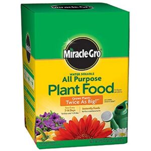 Miracle-Gro Pound 160101 Water-Soluble All Purpose Plant Food, 24-8-16, 1-Po