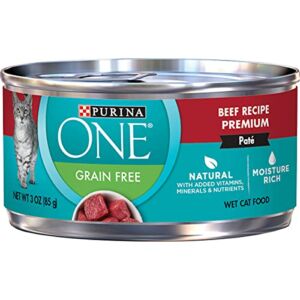 Purina ONE Natural, High Protein, Grain Free Wet Cat Food Pate, Beef Recipe – (24) 3 oz. Pull-Top Cans