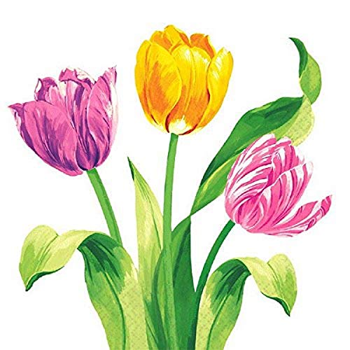 Amscan Bright Tulips Luncheon Napkins, 16 Ct. | Party Tableware | The Storepaperoomates Retail Market - Fast Affordable Shopping