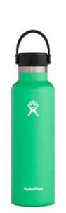 Hydro Flask Water Bottle – Standard Mouth Flex Lid – 21 oz, Spearmint