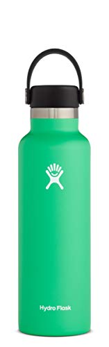 Hydro Flask Water Bottle – Standard Mouth Flex Lid – 21 oz, Spearmint | The Storepaperoomates Retail Market - Fast Affordable Shopping
