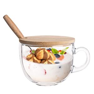 PARACITY Glass Cup 15OZ Clear Coffee Mug with Lids Spoon for Breakfast Tea,Milk,Beverage,Oats,yoghurt
