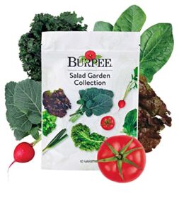 Burpee Salad Garden Collection 10 Packets of Non-GMO 4 Lettuce Varieties + Tomato, Radish, Spinach, Kale, Scallions & Mesclun Mix | Seeds for Planting Vegetables