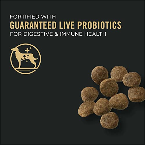 Purina Pro Plan Sensitive Skin and Stomach Puppy Food with Probiotics, Lamb & Oat Meal Formula – 24 lb. Bag | The Storepaperoomates Retail Market - Fast Affordable Shopping