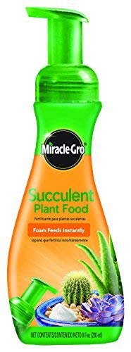 Miracle Gro Foaming Succulent Plant Food | The Storepaperoomates Retail Market - Fast Affordable Shopping