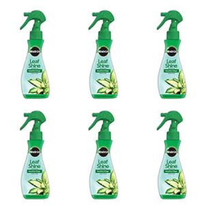 Miracle-Gro Leaf Shine, 8-Ounce (6 Pack)