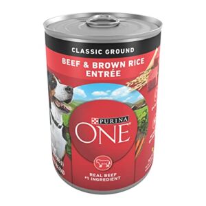 Purina ONE Natural Pate Wet Dog Food, SmartBlend Beef & Brown Rice Entrée – (12) 13 oz. Cans